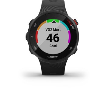garmin fr 45s