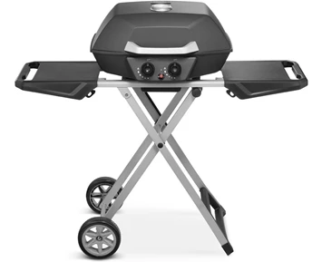 Austin and Barbeque AABQ - Superior Portable 2 Burner Gas Grill